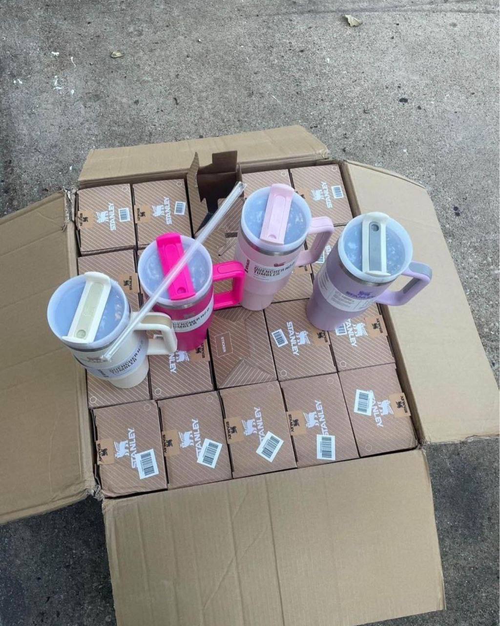 Standley Cups