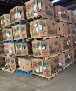 Toys pallet