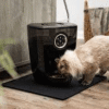 whisker feeder robot